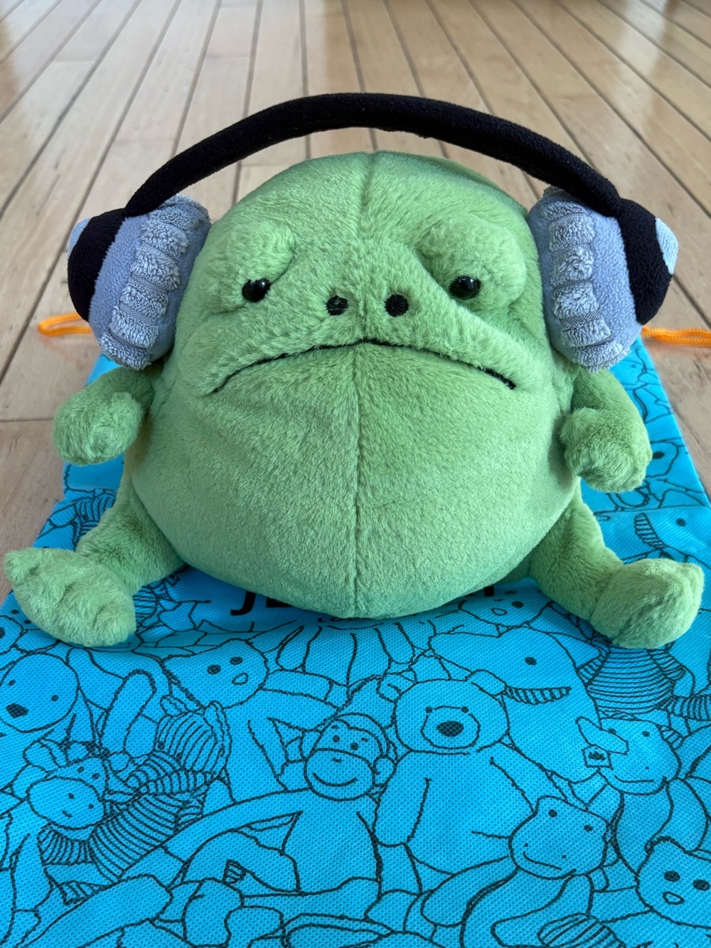 Jellycat Ricky Rain Frog Plush with Headphones Retired
